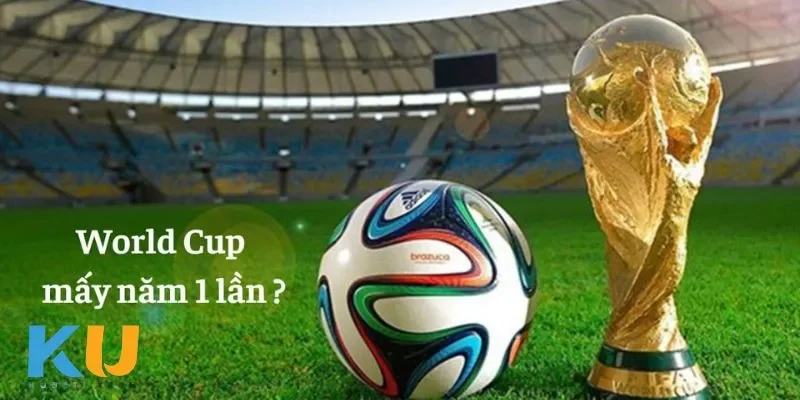 Lịch sử World Cup mấy năm một lần
